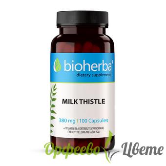 ХРАНИТЕЛНИ ДОБАВКИ Алкохолизъм и  махмурлук БИОХЕРБА БЯЛ ТРЪН 380 мг* 100 капс./ BIOHERBA MILK THISTLE 380mg* 100caps.